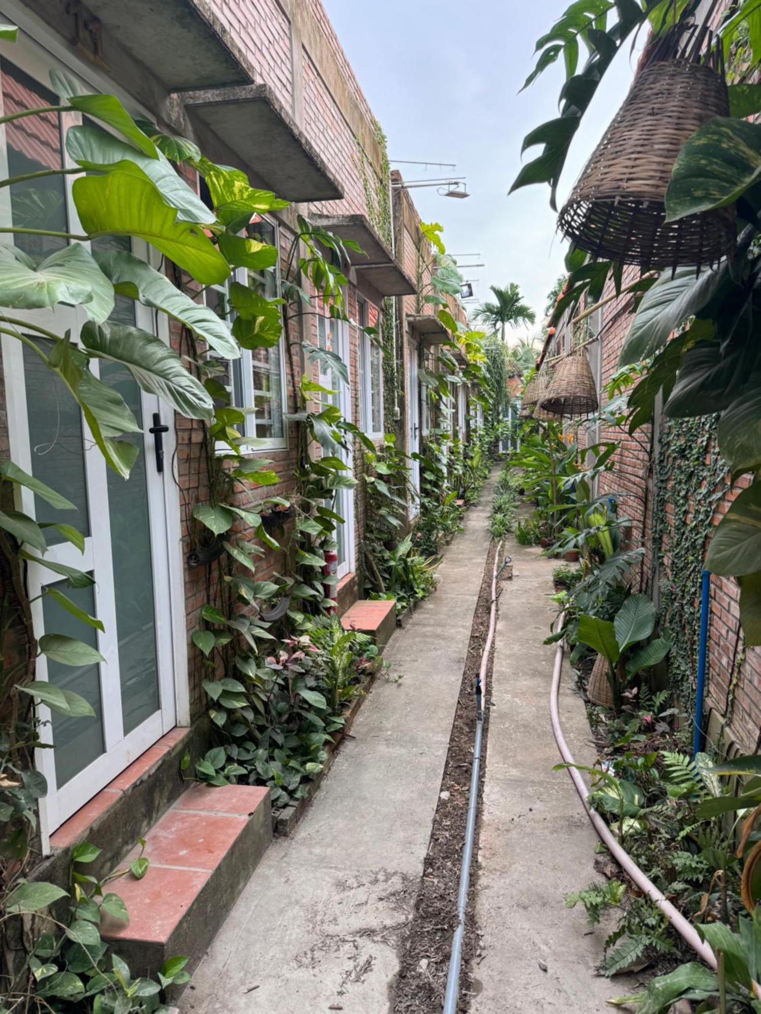 Bau Bi Mini Farmstay Mekong - Tien Giang Mỹ Tho Extérieur photo